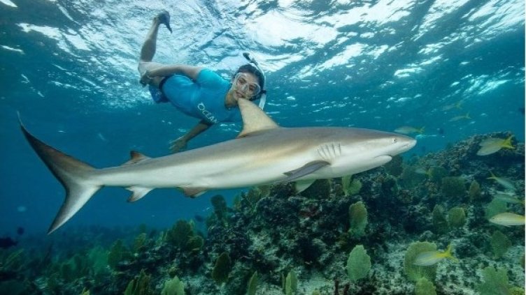 Снимка: Instagram