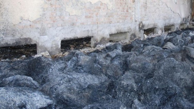 Снимка: Булфото, архив