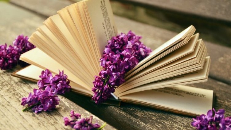 Снимка: pixabay