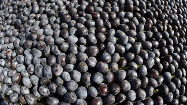 Снимка: архив Reuters