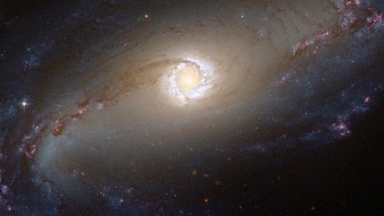 Източник: Reuters