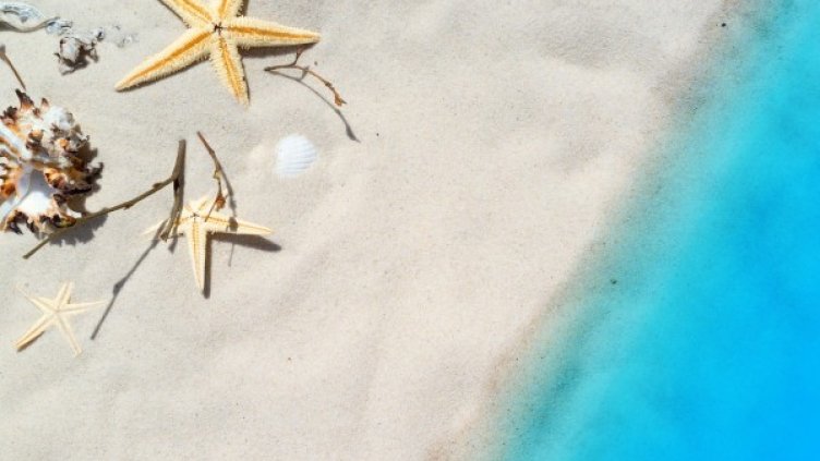 Снимка: pixabay