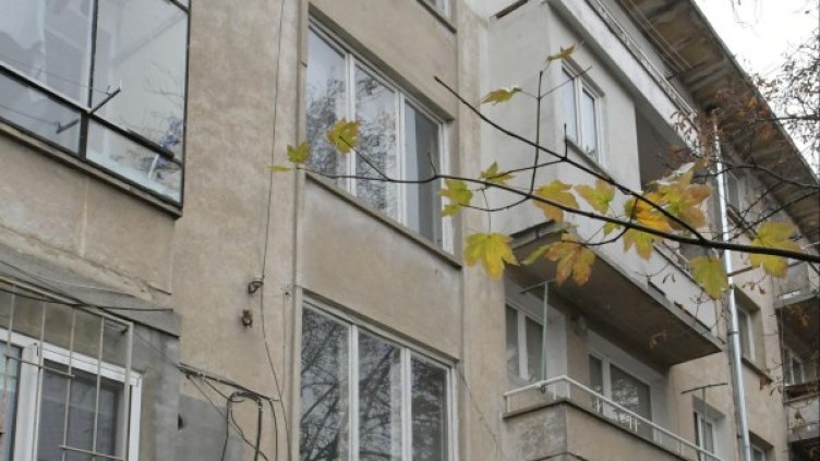 Снимка: Булфото