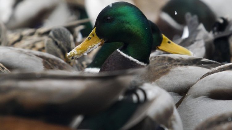 Снимка: архив, Reuters