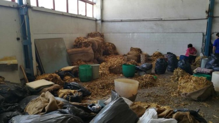 Снимка: Агенция "Митници"