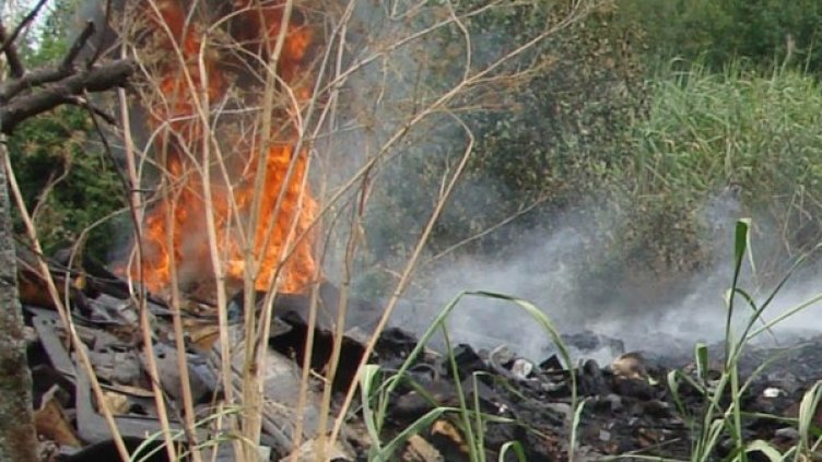 Снимка: архив, Булфото