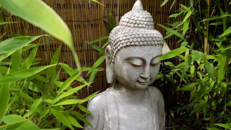 Снимка: pixabay