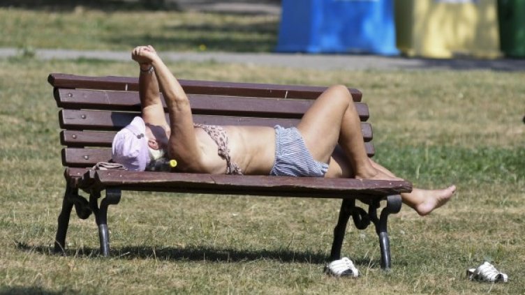 Снимка: Булфото, архив