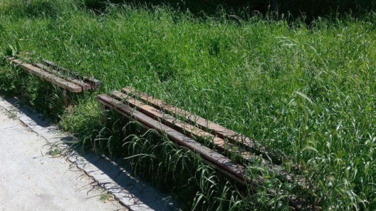 Снимка: Булфото, архив