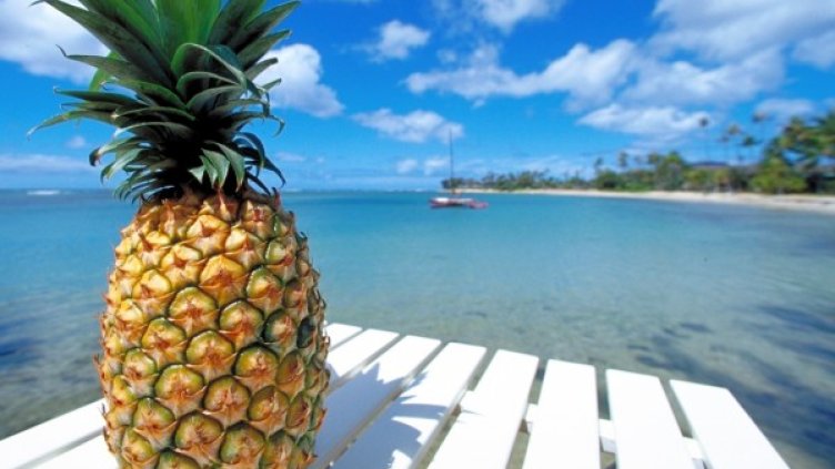 Снимка: freeimages