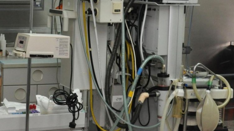 Снимка: архив, БулФото