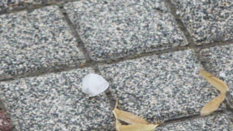 Снимка: архив, Булфото