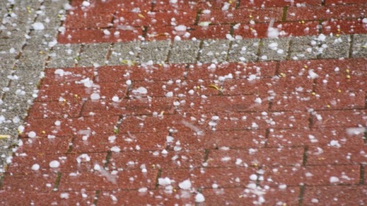 Снимка: архив Булфото