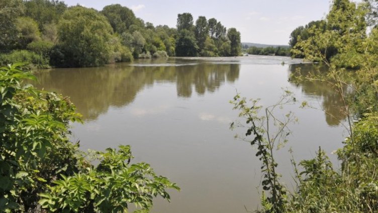 Снимка: архив, Булфото