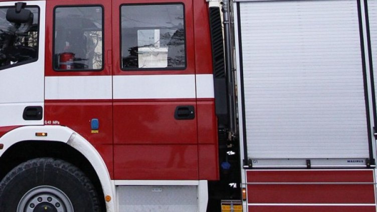 Снимка: Архив, Булфото