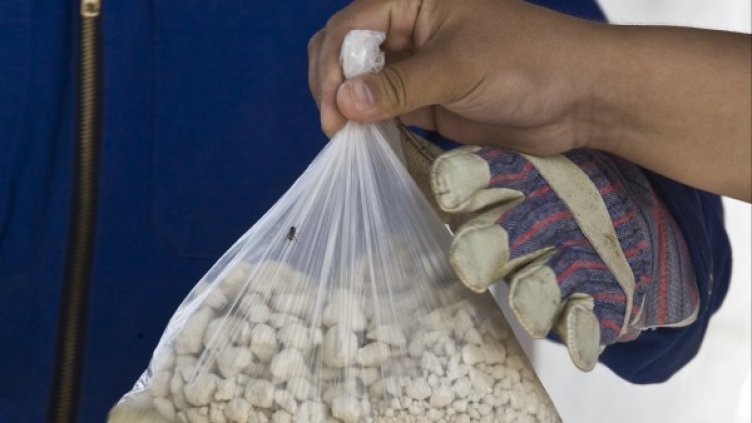 Снимка: Reuters, архив