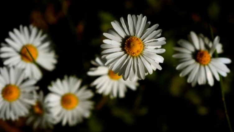 Снимка: архив, Reuters