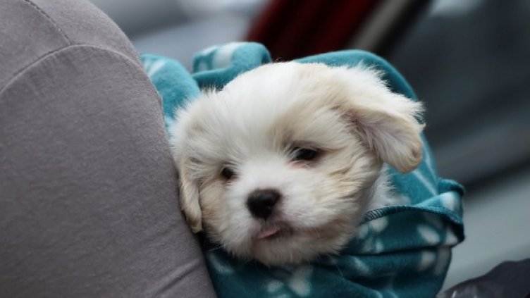 Снимка: архив, Reuters