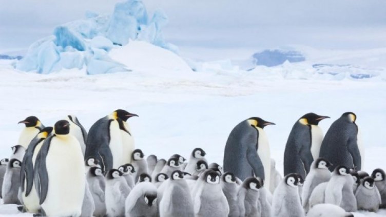 Снимка: Арт фест