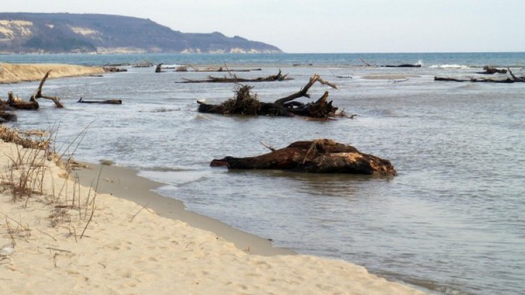 Снимка: архив, Булфото