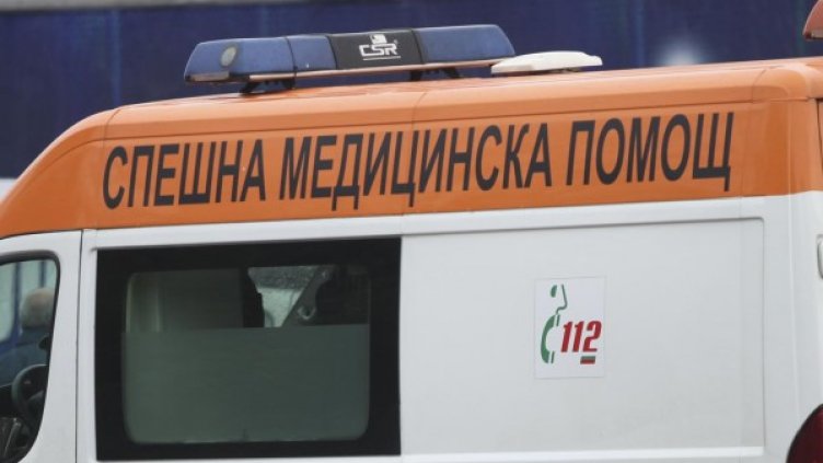 Снимка: Архив, Булфото