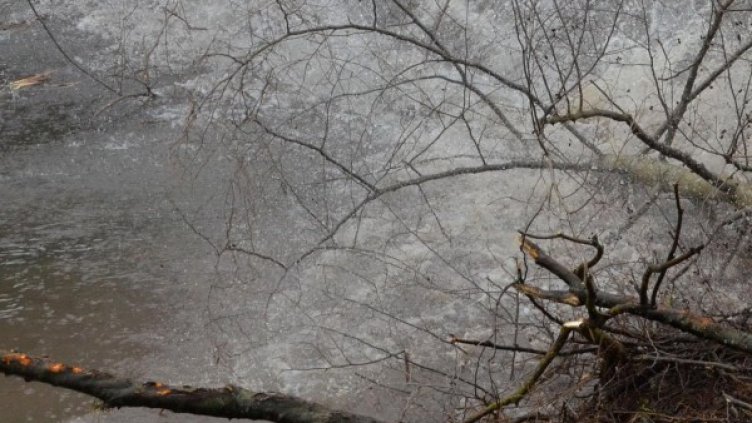 Снимка: Булфото