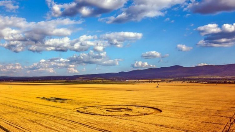Появиха се мистериозни житни кръгове край София