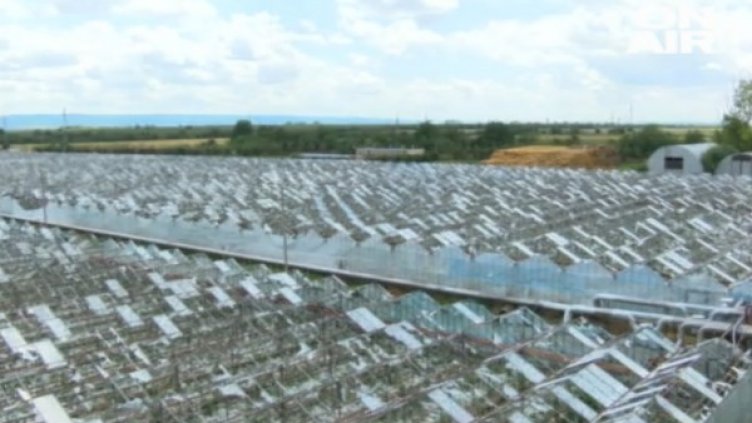 Снимка: Bulgaria On Air