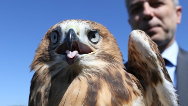 Снимка: Олег Попов, Dnes.bg