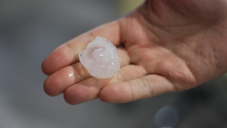 Снимка: архив, БулФото