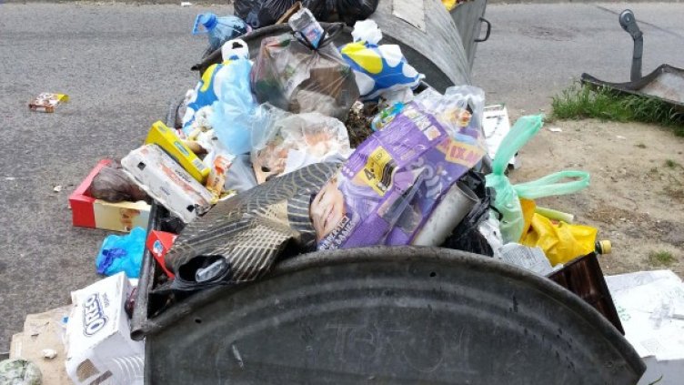 Снимка: Булфото, архив