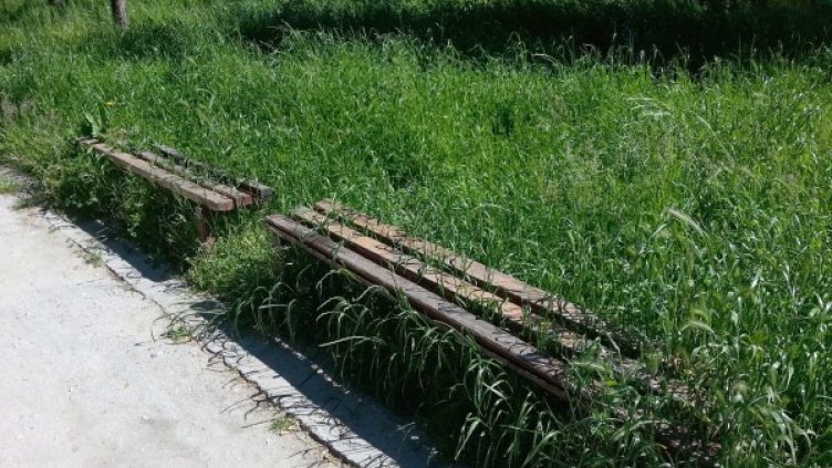 Снимка: Булфото, архив