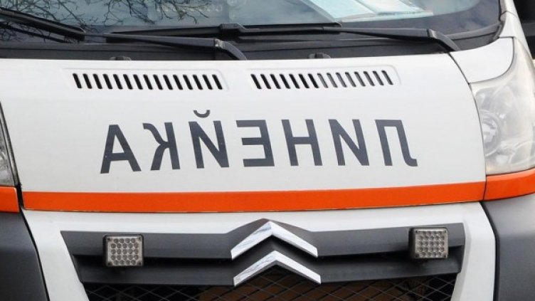 Снимка: Булфото, архив