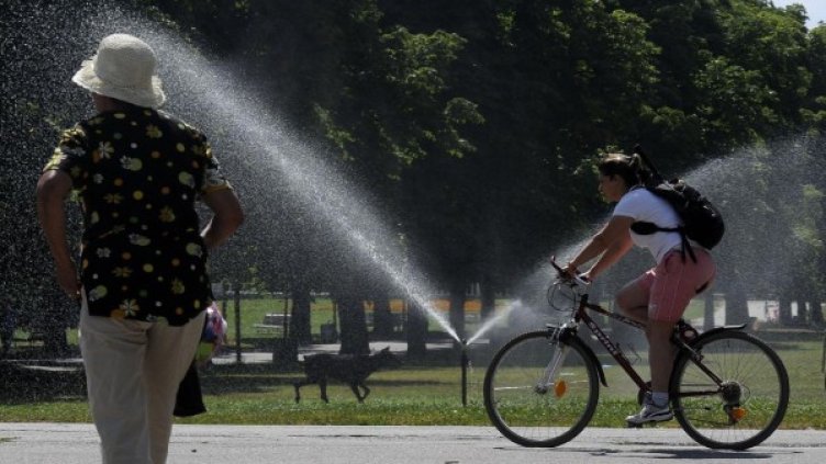 Снимка: архив, Булфото