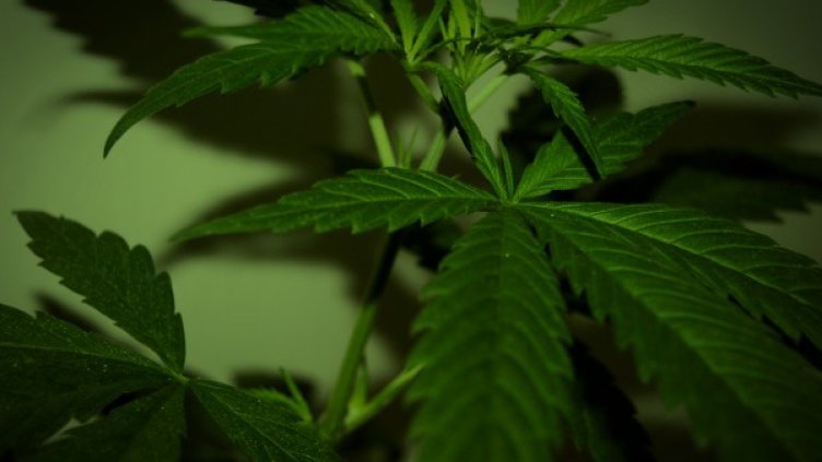 Снимка: Flickr.com