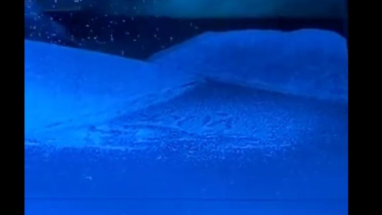 Думата "х*й" се появи на сцената на Болшой театър в представление за войници ВИДЕО