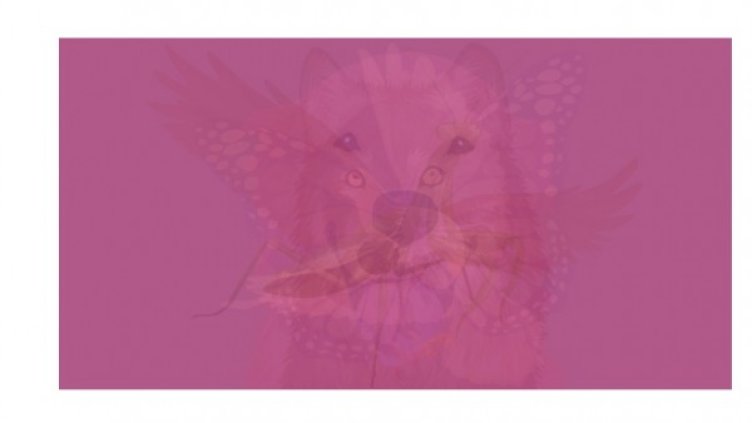 Снимка: zvez-dec.ru