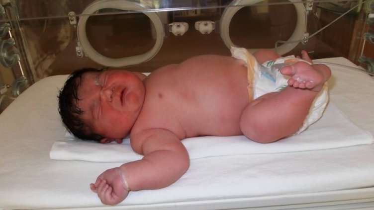 Снимка: АГ Селена