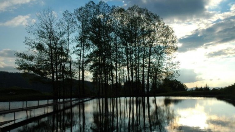 Архив: Булфото