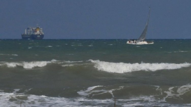 Снимка: архив "Булфото"