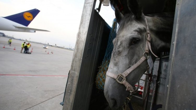 Снимка: архив, Reuters