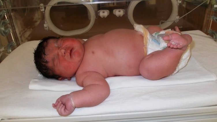 Снимка: АГ Селена