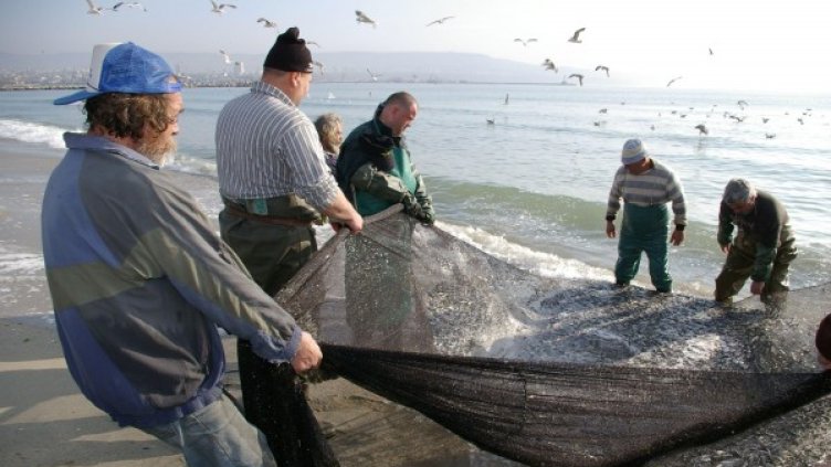 Снимка: Булфото, архив