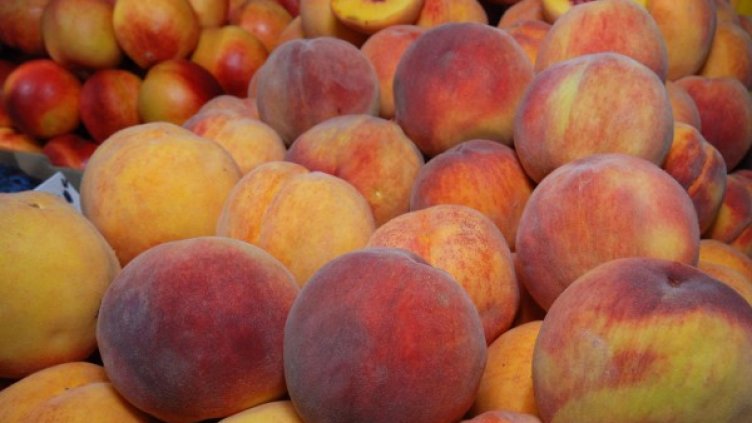 Снимка: Булфото, архив