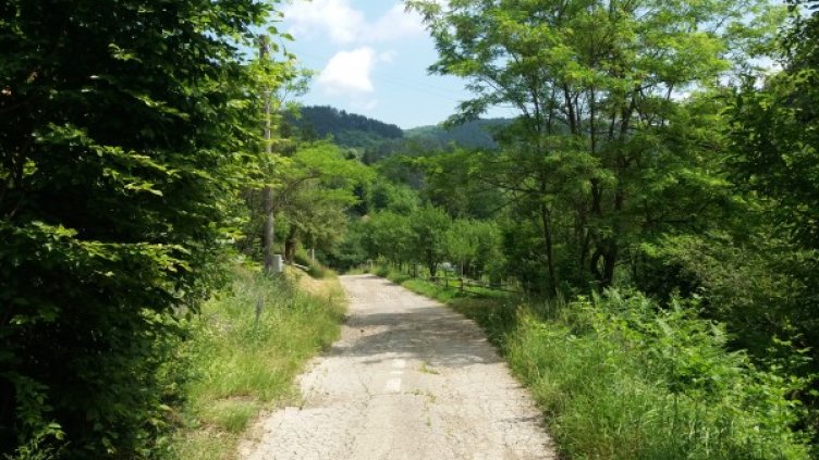 "Без будилник": Борущица &ndash; скритото райско кътче в планината