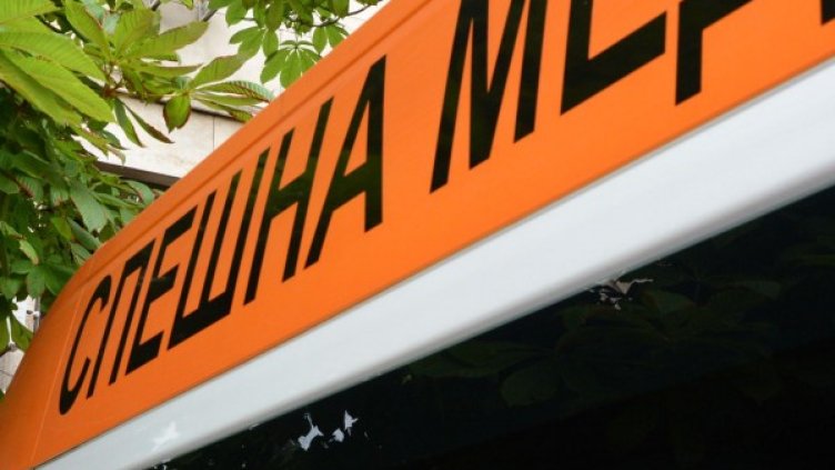 Снимка: архив Булфото