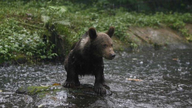 Снимка: архив, Reuters