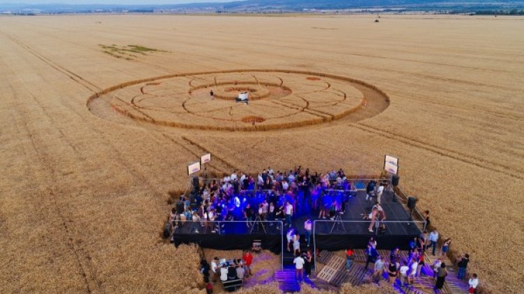 Absolut стоят зад житните кръгове, които се появиха до Равно Поле 