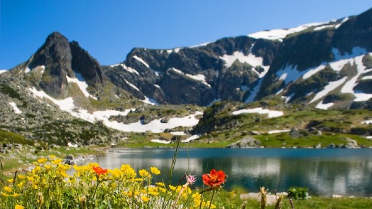 Снимка: wikimedia commons