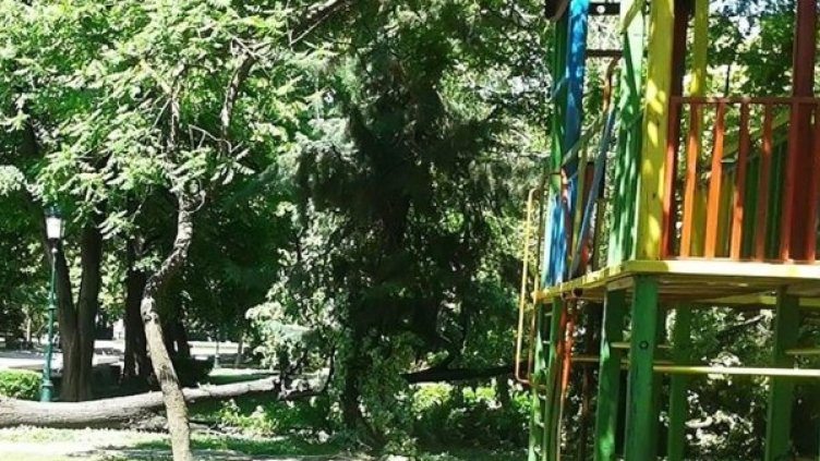 Снимка: архив Булфото